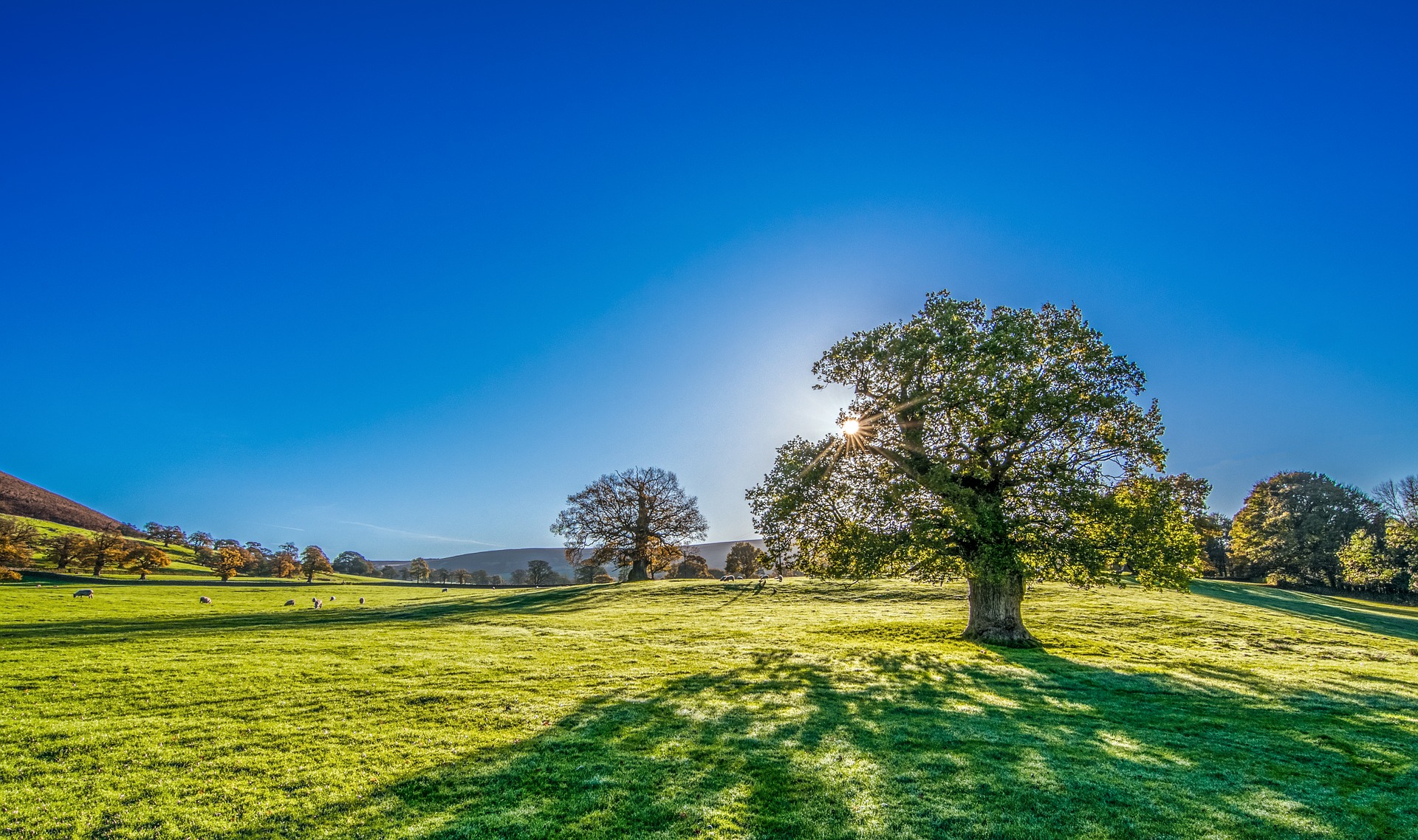 Rising energy prices shouldn’t prevent you from breathing healthy air