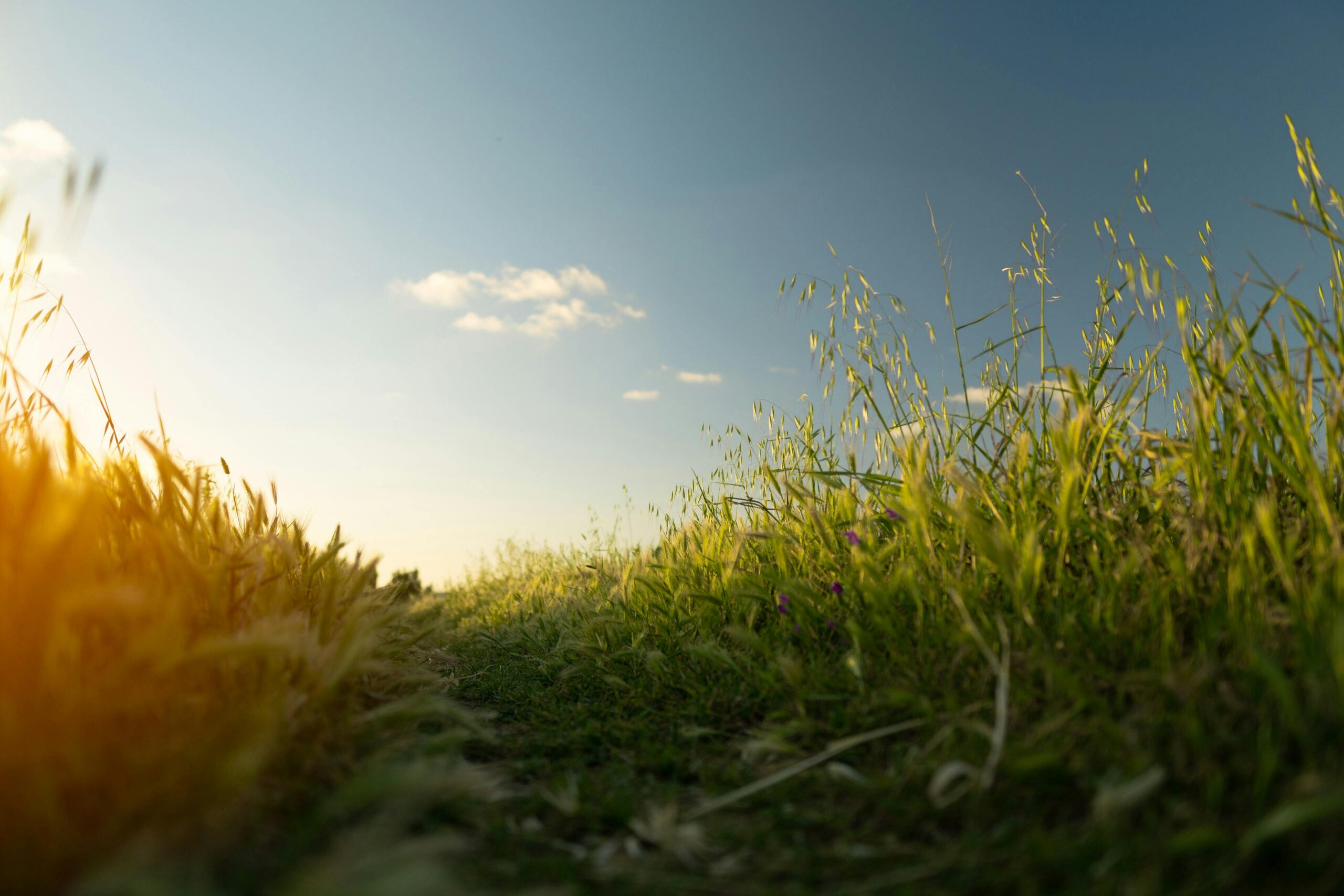 Rising Heatwaves, Rising Pollution: Why Your Air Matters More Than Ever